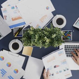 באנדל קישורים חיצוניים לקידום אורגני